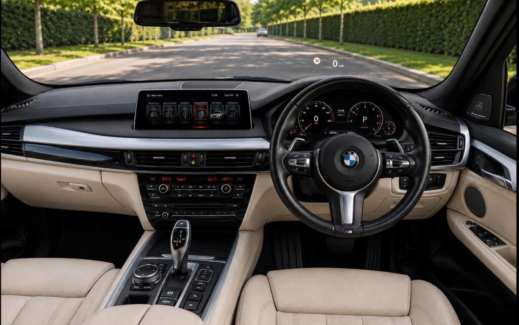 2017 BMW X5 — photo 23